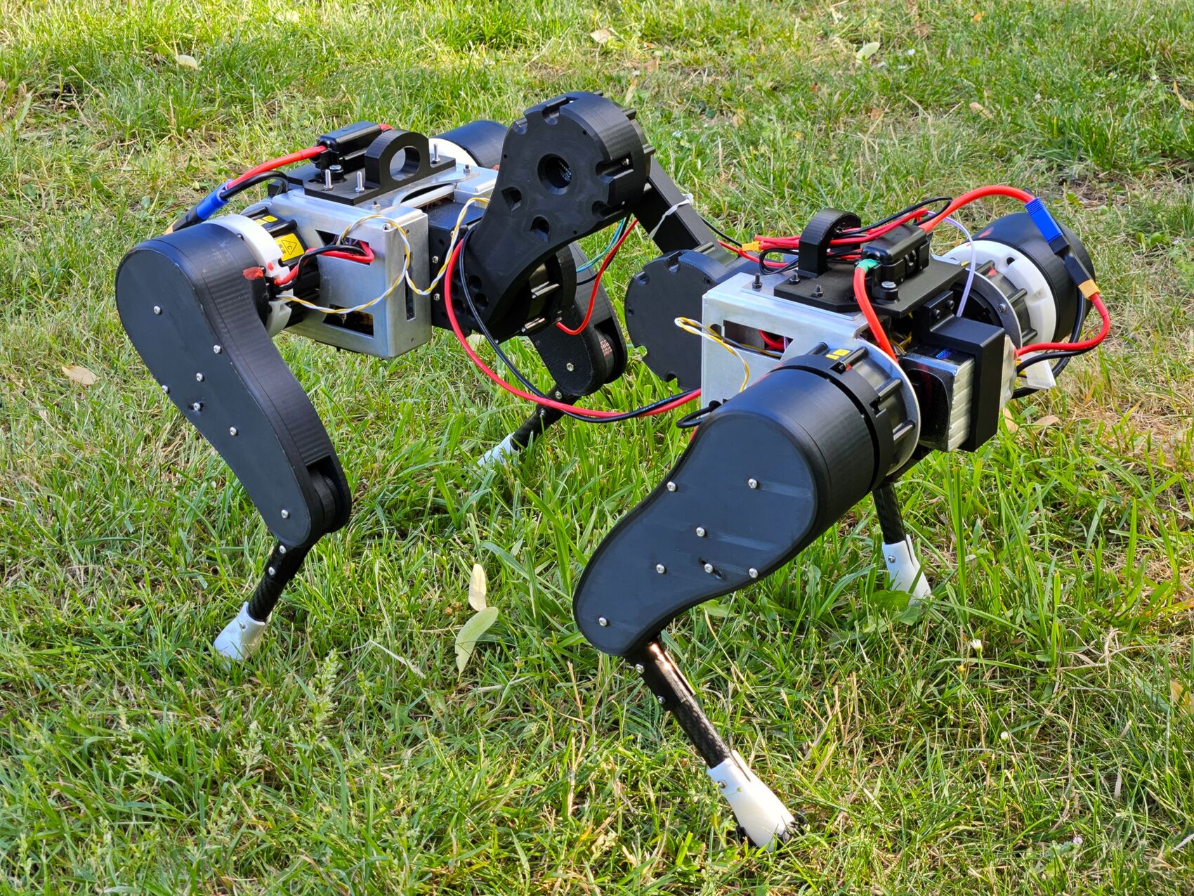 A self-built 8-DoF quadruped carrying the SPARC active spine, standing in grass